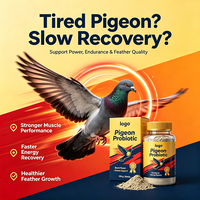 Supplément pour pigeons de course pour une puissance explosive, une endurance accrue, une récupération post-course, un soutien cardiovasculaire, des acides aminés essentiels, 1000g