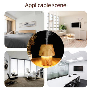 Lampe de bureau modèle Bai Zhe avec diffuseur : Conception à lumière chaude, dotée d'une fonction veilleuse - Product Image 3