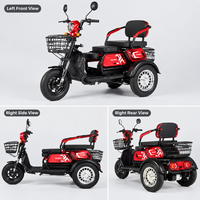 Tricycle Électrique à 3 Roues en Gros, Batterie Plomb-Acide 60V 20Ah, Moteur Moyeu Arrière, 3 Sièges Passagers, Carrosserie Ouverte, Vente Directe Usine