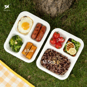 Emballages en blister jetables 100 % recyclables et personnalisables, contenants et barquettes alimentaires en PP écologiques avec épaisseur sur mesure - Product Image 3