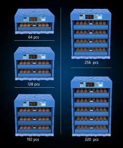 Nueva Incubadora de Huevos de Pollo, Pato, Pavo, Avestruz y Reptiles de Tamaño Pequeño para Uso Doméstico, Más Vendida, con una Tasa de Incubación del 99%, Automática y de 360 Grados - Product Image 6