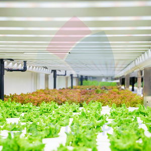 Growspec trong nhà dọc hệ thống canh tác | thủy canh phát triển kệ với LED phát triển đèn - Product Image 2