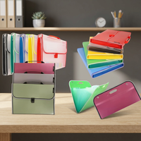 Carpeta Archivadora Expandible Tamaño A4, Plástico Transparente Opaco, Asa Metálica, Multicolor, Organizador de Oficina