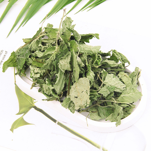 Premium Nouvelle récolte Feuilles de baume au citron <span class=keywords><strong>bio</strong></span> pour le thé, la relaxation et les remèdes naturels | Fournisseur <span class=keywords><strong>en</strong></span> <span class=keywords><strong>vrac</strong></span> - Product Image 5