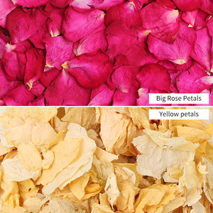 Pétalos de Rosa Roja Grandes, Secos y Naturales al por Mayor para Spa, Baño, Bombas de Baño, Cuidado de la Piel y Decoración de Bodas - Product Image 5