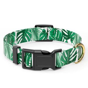 Benutzer definierte Gummi Label Logo Luxus Haustier Zubehör Robustes Polyester Nylon Gurtband Druck Hunde halsband - Product Image 6