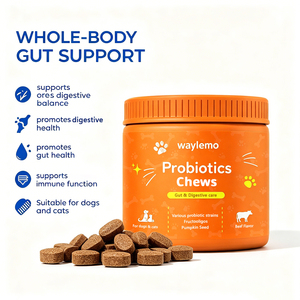 Waylemo Vitamine per Cani, Probiotico Masticabile per la Salute degli Animali Domestici, Digestione Intestinale, Gusto Manzo, Vendita all'Ingrosso OEM - Product Image 5