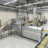 Automatische productielijn voor diepvriesfrieten van roestvrij staal 304 voor aardappelverwerking