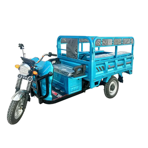 Triciclo a tre ruote per mobilità urbana efficiente <span class=keywords><strong>e</strong></span> motore Trike per il trasporto di merci - Product Image 2