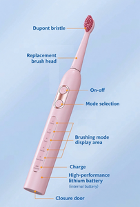 T8 Sonic Electric <strong>Toothbrush</strong> Set Rechargeable Adult 5 Modes 30s Reminder Custom Color Gift Box Packaging IPX7 Waterproof - Product Image 4