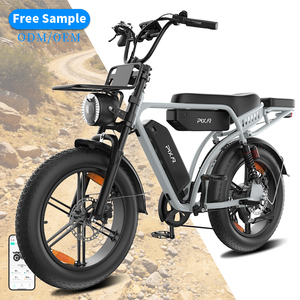 Bicicleta eléctrica utilitaria M9 20 X 4.0 con motor trasero, batería dual, cesta, portaequipajes, diseño de dos asientos, bicicleta versátil. - Product Image 1