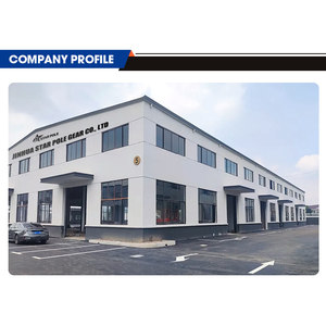 L'ensemble de transmission du modèle Howo stocké en usine, Dongfeng et Shaanxi, synchroniseur pour camion Diff. Pièces Type FAW - Product Image 4