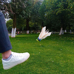 Pedido a granel precio barato blanco colorido Kick Shuttlecock pluma de ganso <span class=keywords><strong>Jianzi</strong></span> al por mayor - Product Image 5