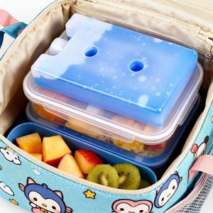 Paquetes de Gel Reutilizables Ecológicos para Transporte de Alimentos, Mini Refrigerador de Alimentos, Hielo para Envío, Hielo en Gel para Niños - Product Image 4