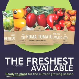 Pack de Variétés de Tomates Biologiques Saison 2025 Incluant Roma, Black Krim, Poire Jaune et <span class=keywords><strong>Ananas</strong></span> pour Plantation Intérieure et Extérieure - Product Image 4