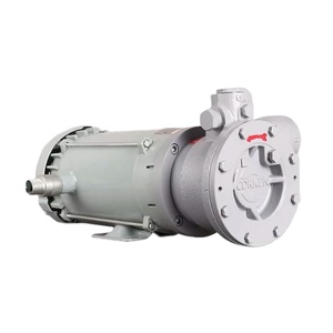 Bomba de Vórtice de GLP de Alto Rendimiento 220V, Bomba de Transferencia de Cilindros de Gas Licuado, Equipo Estable de Dispensación de GLP para Estaciones de Combustible - Product Image 1