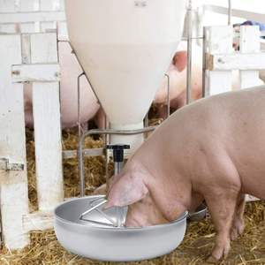 Cheap aço inoxidável Leitão Alimentador <span class=keywords><strong>Bowl</strong></span> para Porcos Calha Porco Alimentando Recipiente com Plástico Groove Rod Pet Food <span class=keywords><strong>Bowl</strong></span> para Venda - Product Image 2