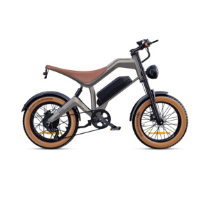 Vélo électrique à pneus larges de 20 pouces, 750W, vélo électrique pour adultes, 48V 15.6Ah, style cyclomoteur - Product Image 1