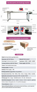 Imprimante à jet d'encre TIJ automatique à haute efficacité pour l'impression sur œufs avec convoyeur pour la date, le logo, le code QR, codage haute résolution - Product Image 4