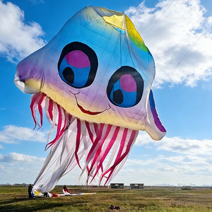 Large extra-large, personalized <strong>kites</strong> Jellyfish <strong>kite</strong>,soft, large-scale <strong>kite</strong> custom <strong>design</strong>, produced in Weifang,China. - Product Image 4