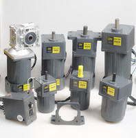 5IK120GU 120W 1phase basse vitesse couple élevé moteur à courant alternatif 220V avec boîte de vitesses