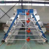 Cage à poules automatique galvanisée, capacité de 5000 oiseaux, cages en batterie pour l'élevage des poules pondeuses aux Philippines et en Tanzanie