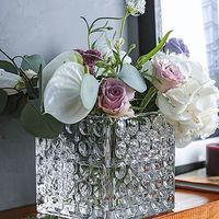 Vase en verre carré à motif glacier moderne Bougeoir carré créatif Plantes vertes hydroponiques Présentoir pour ombelle Peace Lily