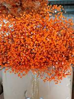 Bunga Gypsophila Kering dan Diawetkan Warna Cerah untuk Dekorasi Rumah, Harga Pabrik Grosir, Keunggulan Harga Natal