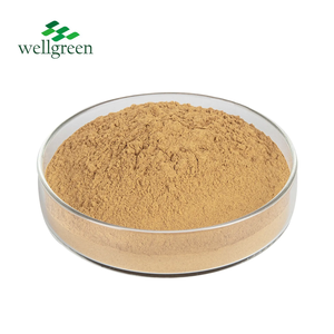Wellgreen ผงเห็ดนางรมบริสุทธิ์จาก100% ออร์แกนิก USDA ขนาด80ตาข่าย/500ตาข่าย - Product Image 3