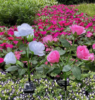 Lampe solaire d'extérieur à LED en forme de rose, étanche, à piquet, pour jardin, avec changement de couleur, éclairage décoratif