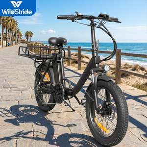 Bicicleta Eléctrica Plegable de 20 Pulgadas con Llantas Gruesas, 500W, 48V, Frenos de Disco, para Reparto de Comida, Modelo EB10, con Motor sin Escobillas de 500W - Product Image 1
