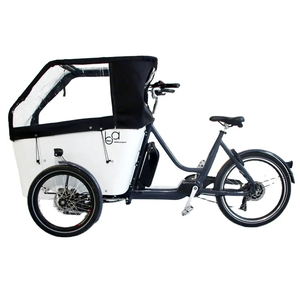 Tricycle électrique familial de 250 W pour enfants, bébés, chiens, animaux de compagnie avec boîte - Product Image 1