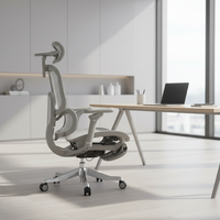 Chaise de bureau ergonomique avec support lombaire et dossier réglables en hauteur, accoudoir en aluminium 6D, nouveau design, unique