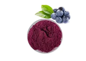 Pasokan produsen grosir bubuk bersertifikat organik bubuk bilberry ekstrak bubuk bilberry bubuk jus bilberry
