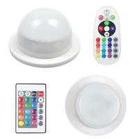Module LED RGBW rechargeable avec télécommande sans fil, base de lampe à vis, étanche, pour décoration de mariage et de club