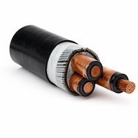 Câble d'alimentation en cuivre blindé à bande d'acier isolé LSZH XLPE pour l'exploitation minière 0,6/1 kV, norme IEC, IP65, pour installation souterraine et en zone ouverte