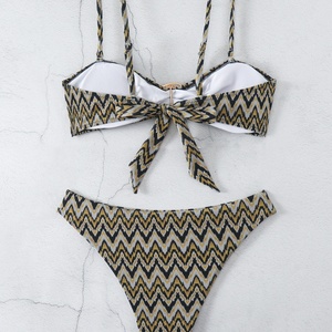 Traje de Baño de Lujo Personalizado, Conjunto de Bikini de Dos Piezas con Estampado de Leopardo, Ropa de Playa, Traje de Baño Deportivo de Lujo - Product Image 2