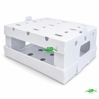 Boîte d'emballage pour légumes en carton ondulé imprimé sur mesure, écologique, en carton recyclé, antistatique, imperméable, carton d'expédition pour produits