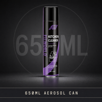 FITWORLD 650ml Nettoyant Four Écologique en Aérosol OEM pour l'Élimination des Graisses Incrustées dans l'Entretien Quotidien de la Cuisine Domestique