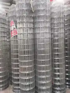 Hot Dipped Galvanized Welded Iron Wire Mesh