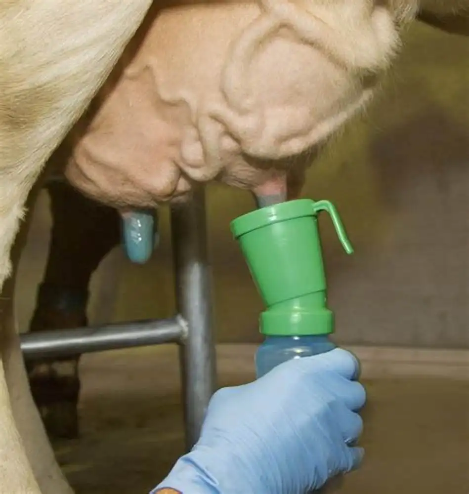 リターンティートディップカップ搾乳安全保護ディップカスタムティートディップカップ牛用