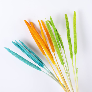 Vendedor caliente Flores decorativas Palos de perlas secas Flores secas para el hogar/Decoración DE BODA Palos de perlas - Product Image 1