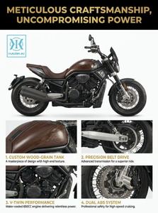 <span class=keywords><strong>Moto</strong></span> Cruiser <span class=keywords><strong>EURO</strong></span> 5 650CC à Refroidissement Liquide, Norme d'Émissions, Vitesse Maximale 95km/h, Transmission par Courroie, Haute Puissance 41KW - Product Image 4