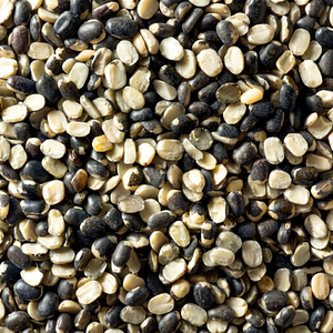 Nouvelle Saison Fraîche Indienne 100% Pure Urad Dal Haute Qualité FitTree International 25kg 24 Mois Marchés Mondiaux - Product Image 1