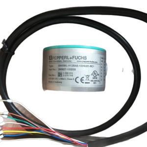 Encodeur Pepperl+Fuchs RHI58N-0BAK1R61N-01024 incrémental absolu RS-485 de type grille - Product Image 4