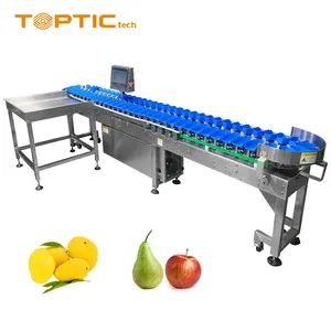 TT-WSM-02 VENDA QUENTE Automática Food Sort Machine Weight Sorter Machine Máquina de classificação de frutas