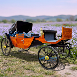 Charrette à chevaux économique et personnalisable à double rangée, avec auvent ouvert et pliable, pour parcs à thème et événements en plein air - Product Image 1