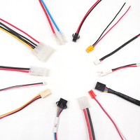Kabel Konektor Listrik, Disesuaikan Dupont TE JST MOLEX ZH PH EH XH 2/3/4/5/N Pin