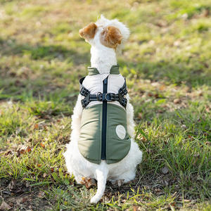 Personalizable de lujo estilo perro Jcaket impermeable a prueba de viento galgos ropa Golden Retrievers gatos franceses perfecto poliéster - Product Image 5