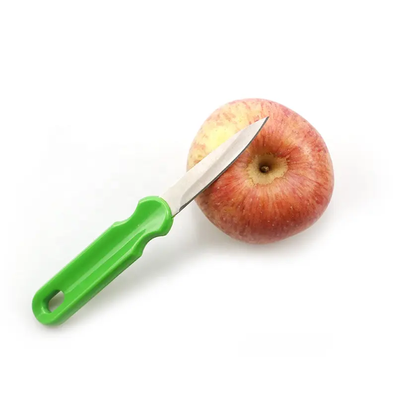 Hot Sale Kitchen Stainless Steel Fruit Knife With Plastic Handle